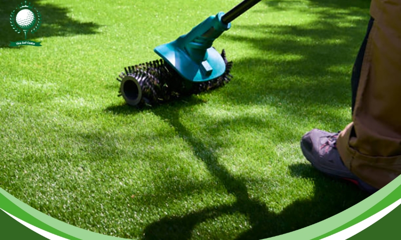 Quy trình trồng cỏ sân golf