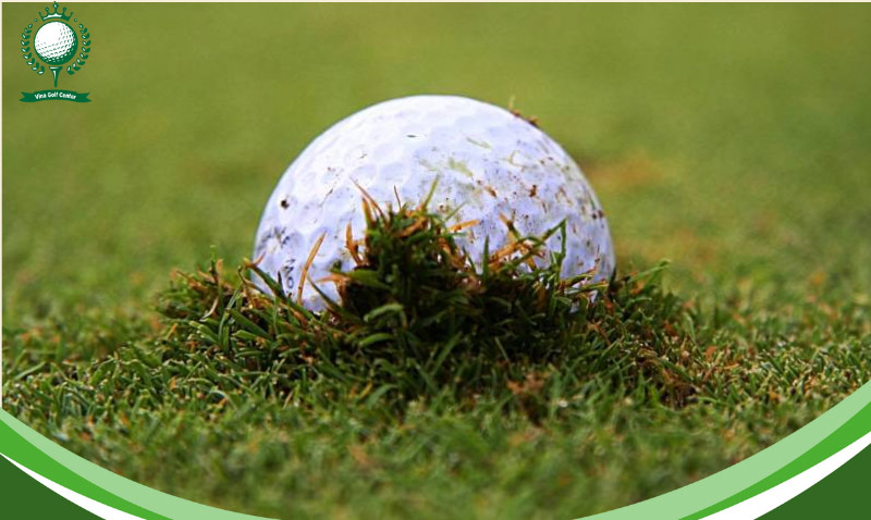 luật golf bóng lún khu vực có bẫy cát hoặc thành cỏ