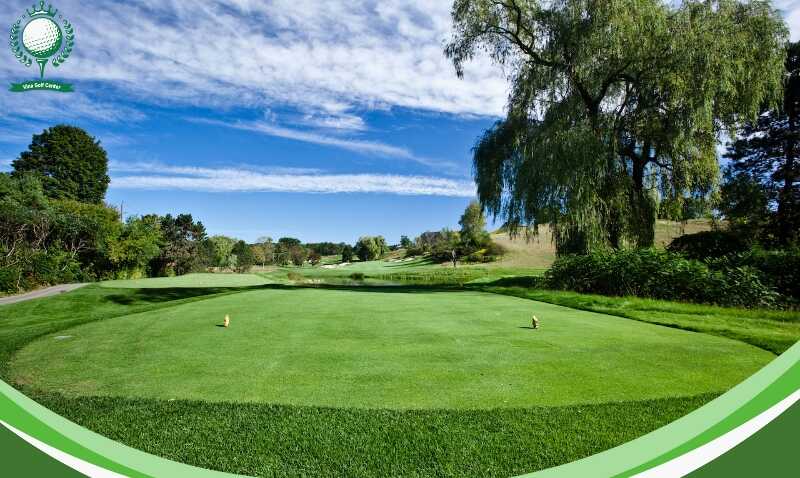 Tee box là gì